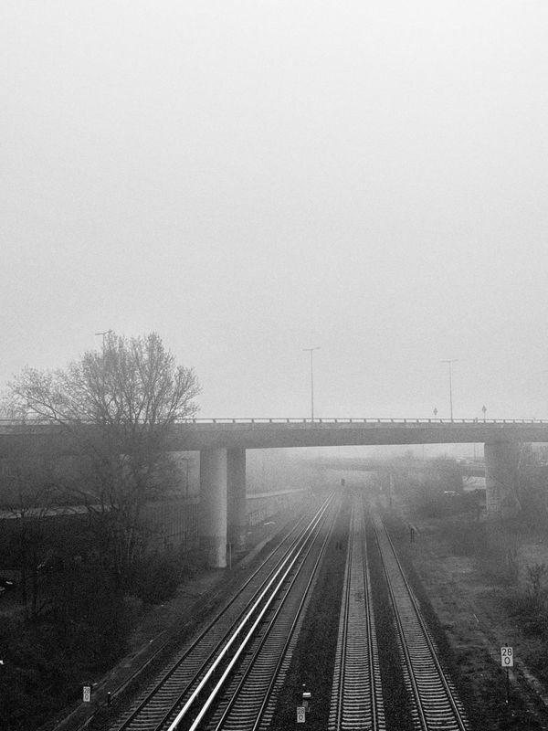 Foggy Morning