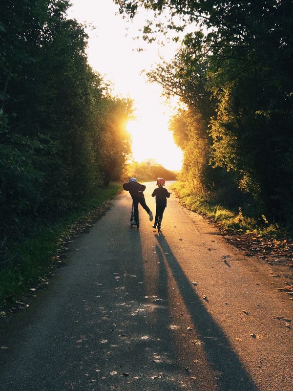 Into the sun