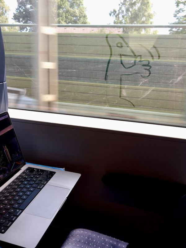 Train companion
