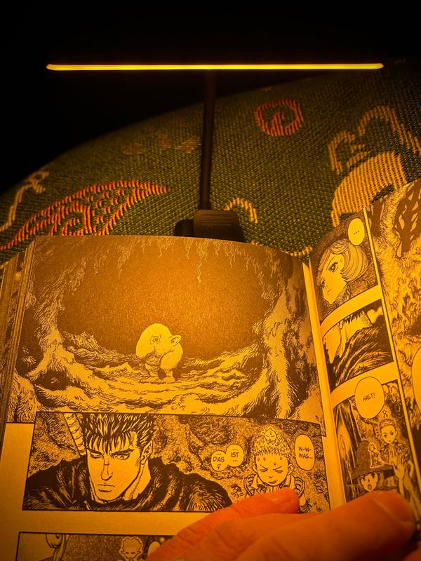Seeing: Bought a little reading light for the night.