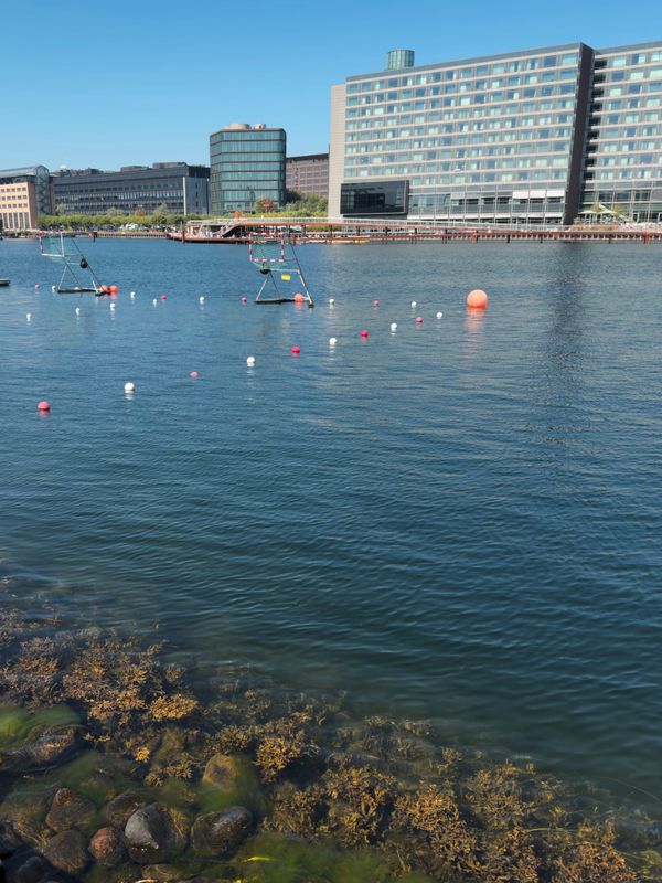 Copenhagen has the best water