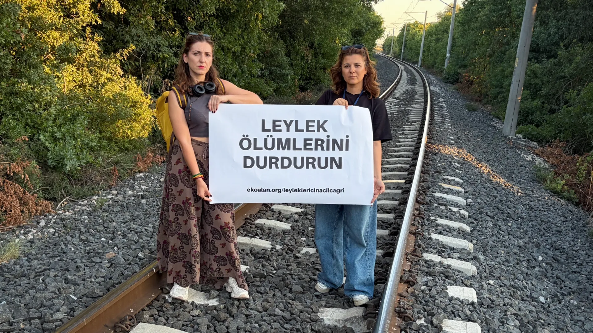 Leyleklerin ölüm yolu: Türkiye