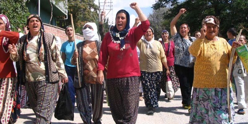 Bergama'dan Akbelen'e çevre direnişinin kilometre taşları