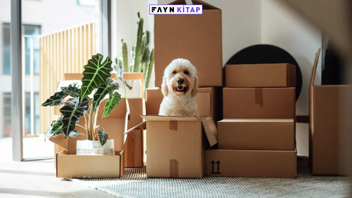 Paketlenemeyen sayısız duygu