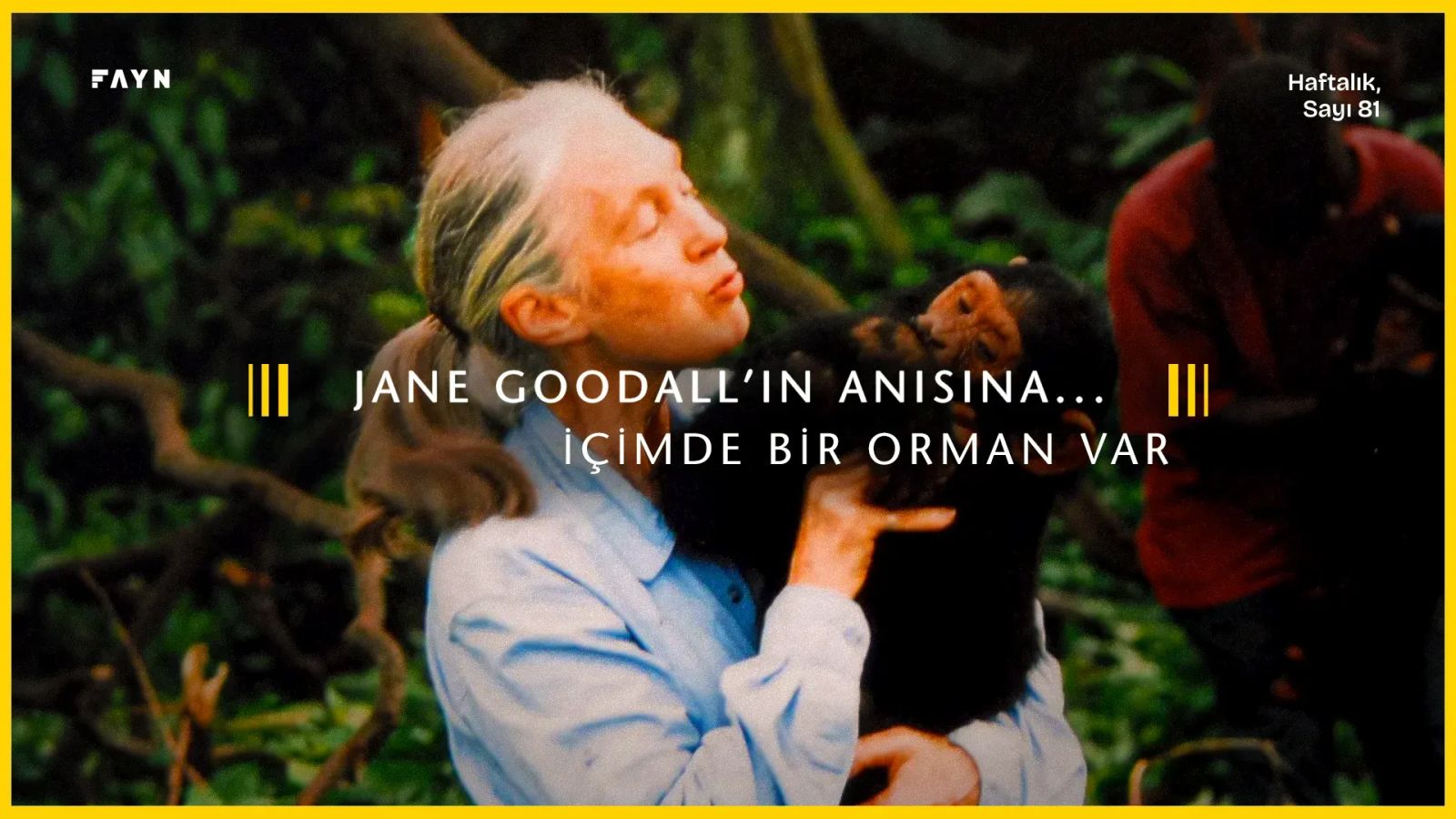 İçimde bir orman var