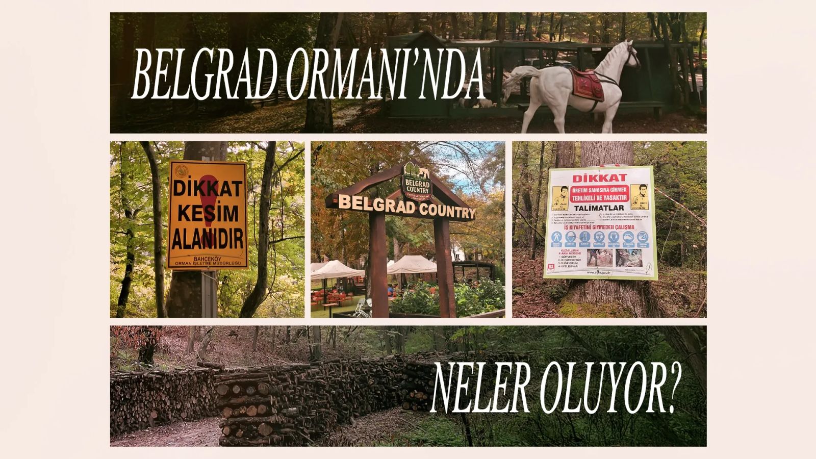 Belgrad Ormanı’nda neler oluyor?