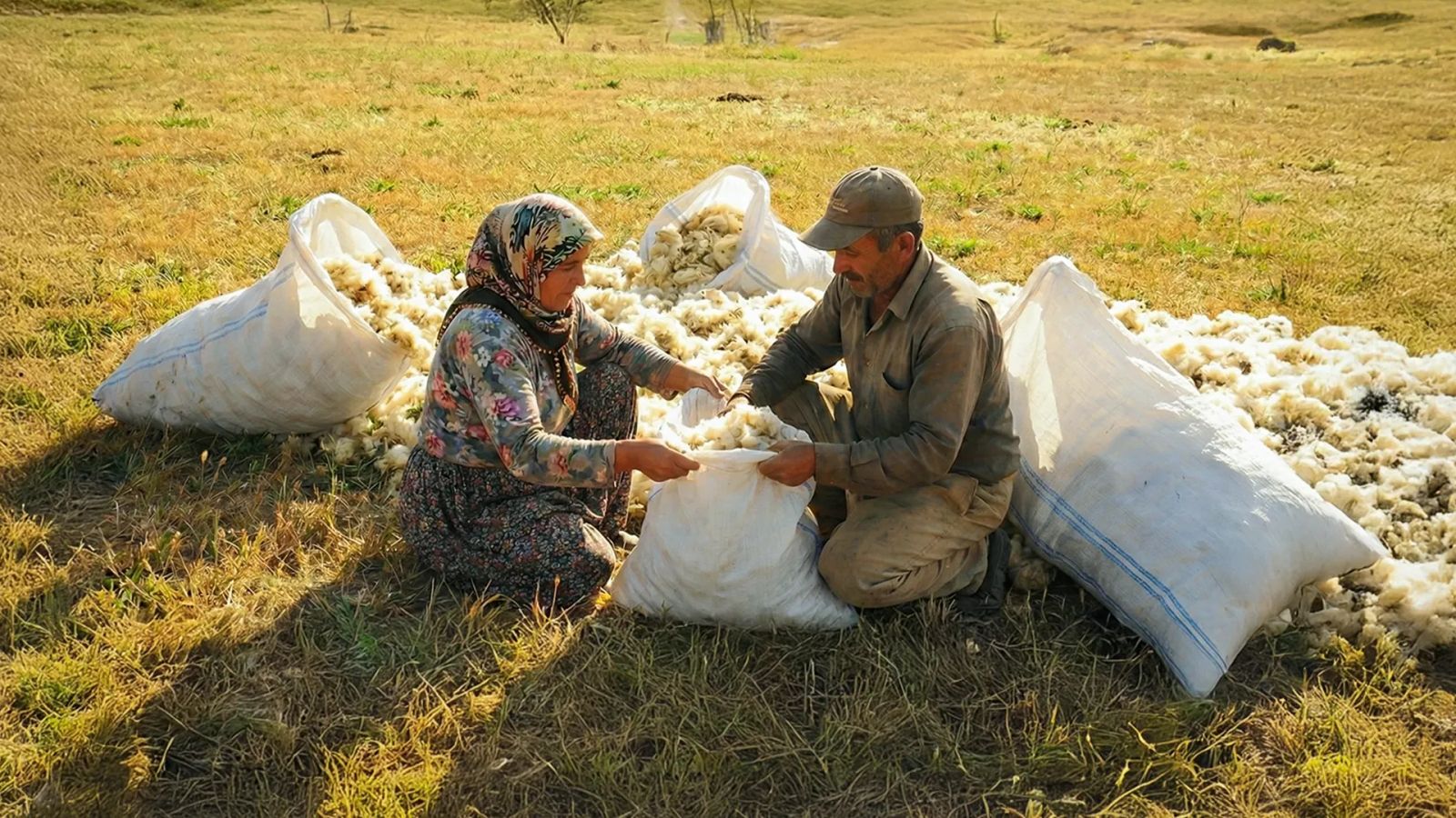 Van’da ‘yün’ krizi: Milyonlarca hayvan var, tonlarca yün çöpe gidiyor