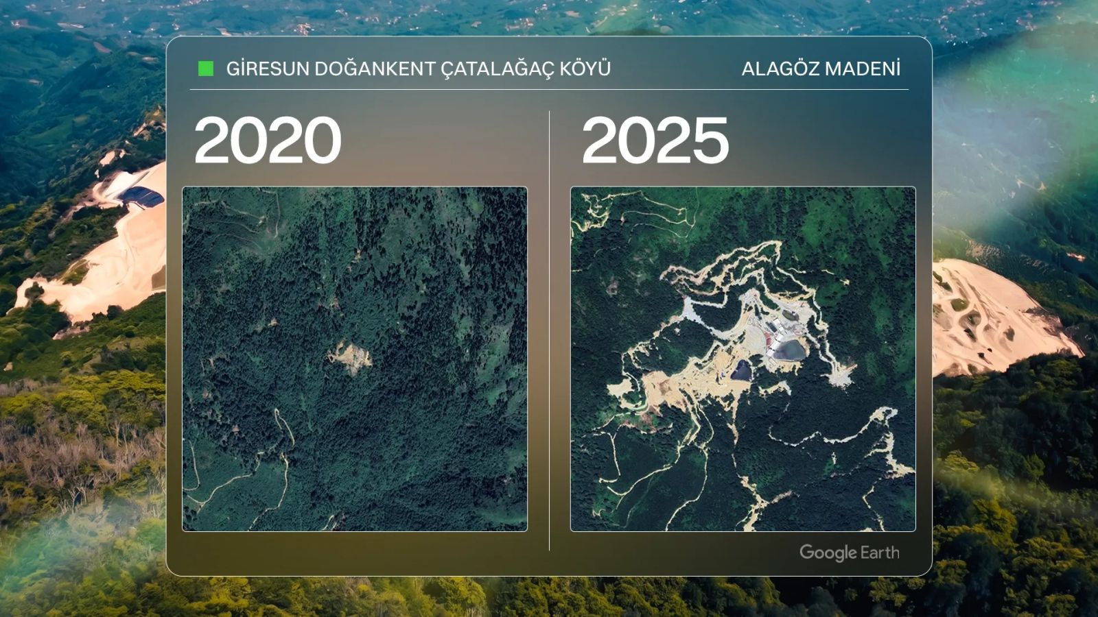 Fındık da zeytin de madene mi feda olsun?