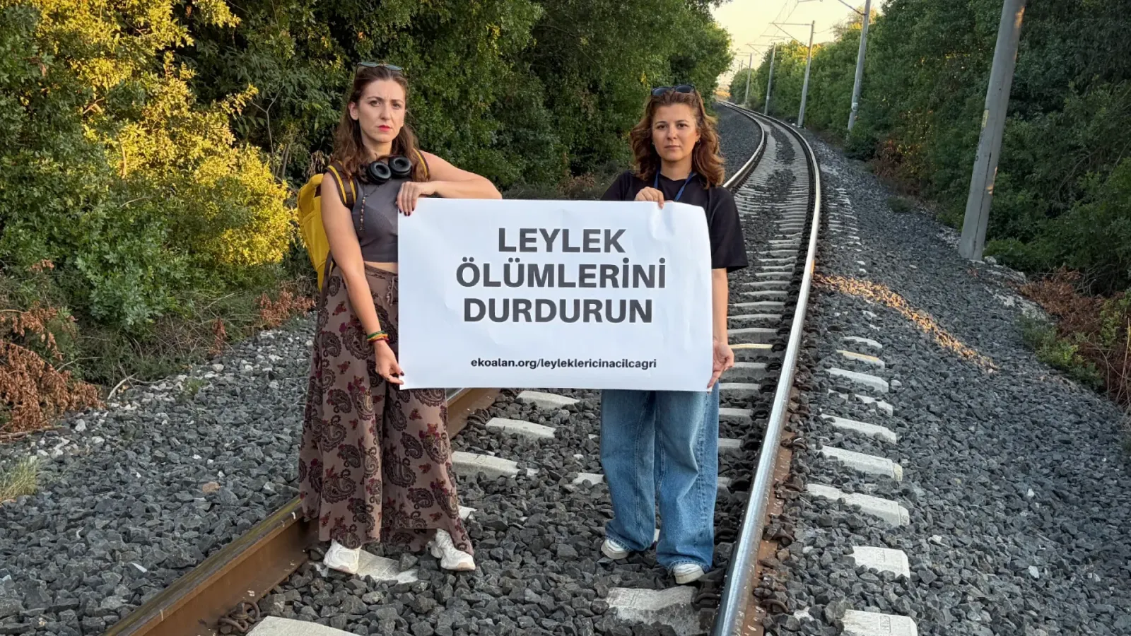 Leyleklerin ölüm yolu: Türkiye