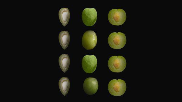 Ham meyveyi kopardılar dalından: Erik ve çağlaya düşkünlüğümüz