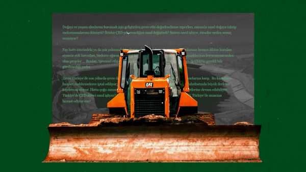 Çevre etki değerlendirme raporları: Doğaya karşı yolsuzluk nasıl yapılıyor?