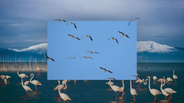 Yaren ve arkadaşlarının işi zor