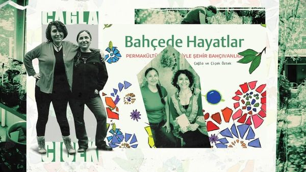 Kadıköy’ün ortasında nasıl bostan yaptık?