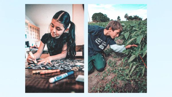 Bir yaz tatili anatomisi: Öğrenmenin durduğu mevsim