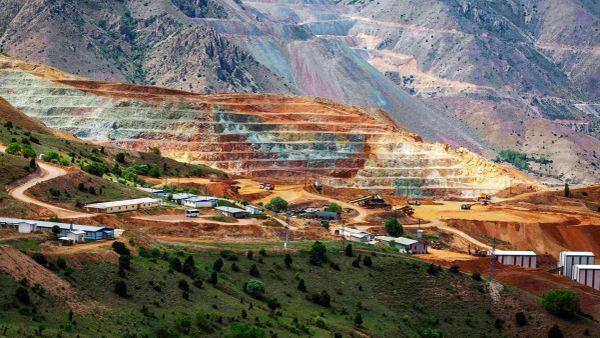 Zeytinlikler (yine) kuşatma altında