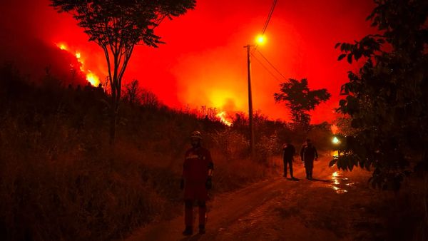 Orman yangınları: Önlenebilir mi, hangi nedenle kime kızmalı?