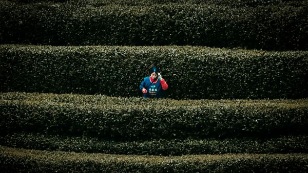 Bir varmış, bir yokmuş: Belirsizlikle başa çıkma sanatı