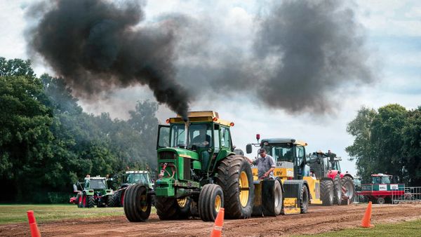 Hollanda tarımı: Mucize mi yanılsama mı?