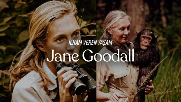 Jane Goodall’ın ilham veren yaşamı: “İçimde bir orman var”