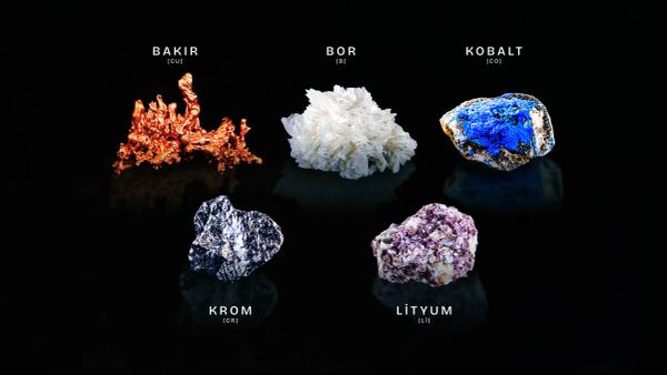 Nadir elementler denkleminde Türkiye