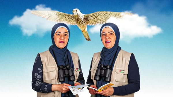 Filistin’de kuş gözlemlemek: Özgürlük ve kuşlar arasındaki basit sembolizmin ötesinde