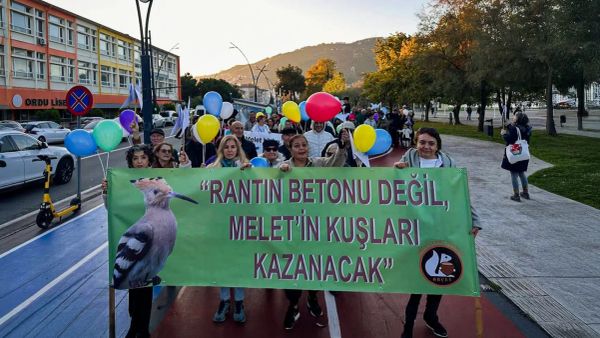 Ordu’da kuşlar nereye konsun?