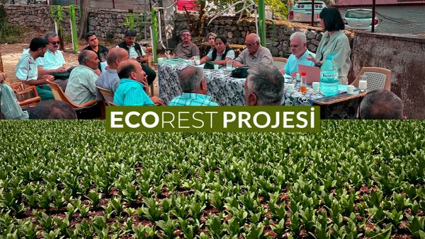 Amazon EcoRest Projesi'ni duyurdu: Deprem sonrası doğayla birlikte iyileşmek