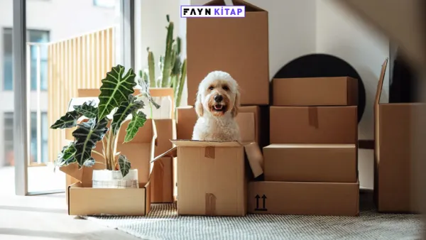 Paketlenemeyen sayısız duygu
