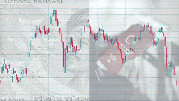 Fon skandalıyla vize kuyruklarının ilgisi ne?