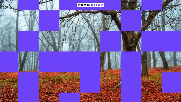 Kasım ayı hakkında ne biliyorsunuz?