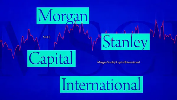 Altı soruda MSCI sarsıntısı