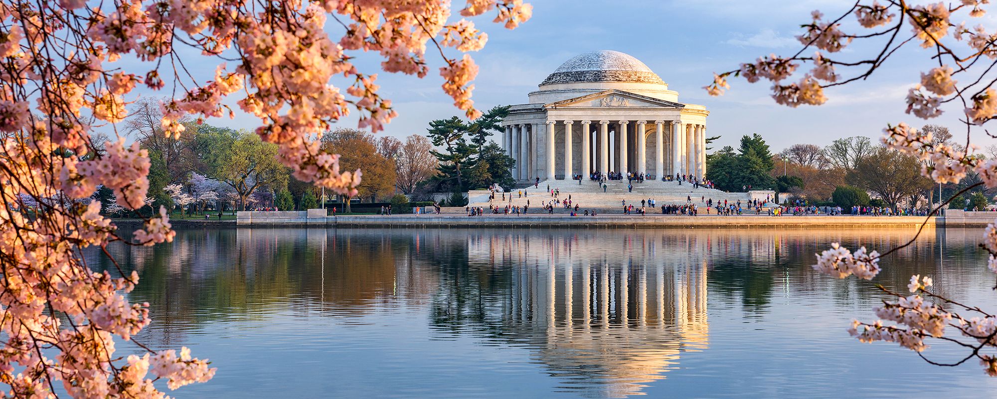 Hire a PHP Developer in Washington, D.C.