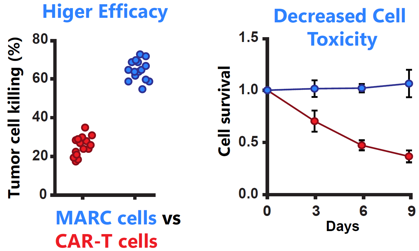 FiddleCube: Fine-Tuned LLMs for Better AI Performance