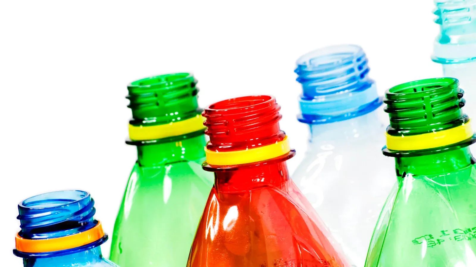 Birch Biosciences - Engineered Enzymes for Plastic Recycling