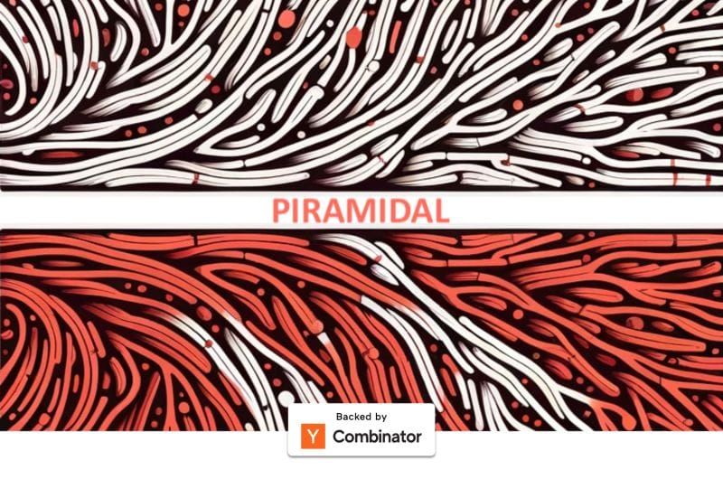 Piramidal - Foundation Model for the Brain