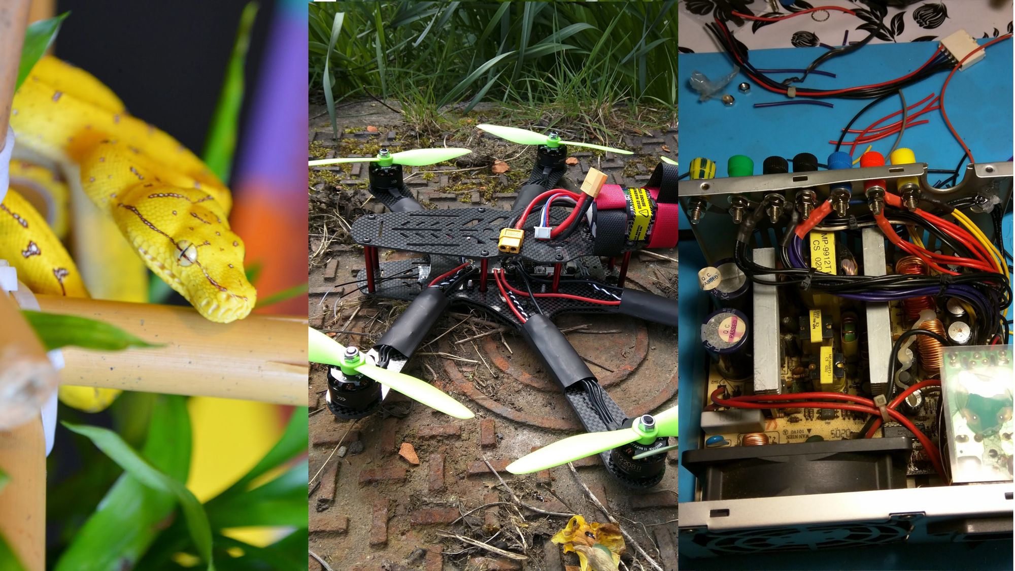 Jayd's Projects