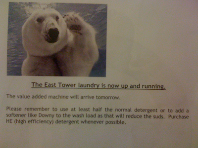 polarbearmemocloseup