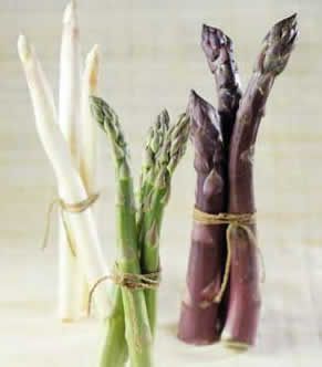 Rigid, Firm, and the Darker the Better