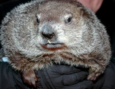 Attention Deficit Déjà Vu