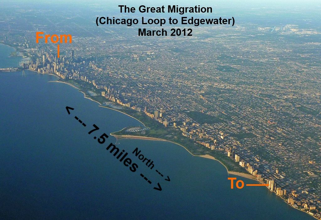 The Great Migration