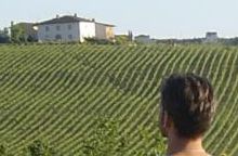 Raise a Cup with the Windy City Wine Guy