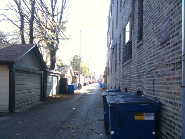 A Gang in Every Alley