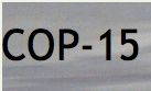 Depaul Copenhagen Climate Blog a Copout