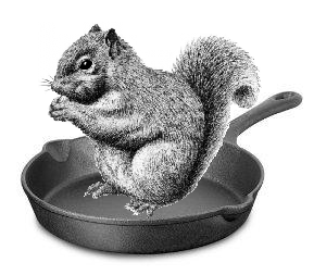 Cooking with Squirrels