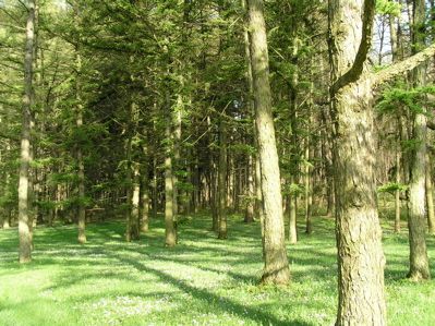 Everything's Different Now