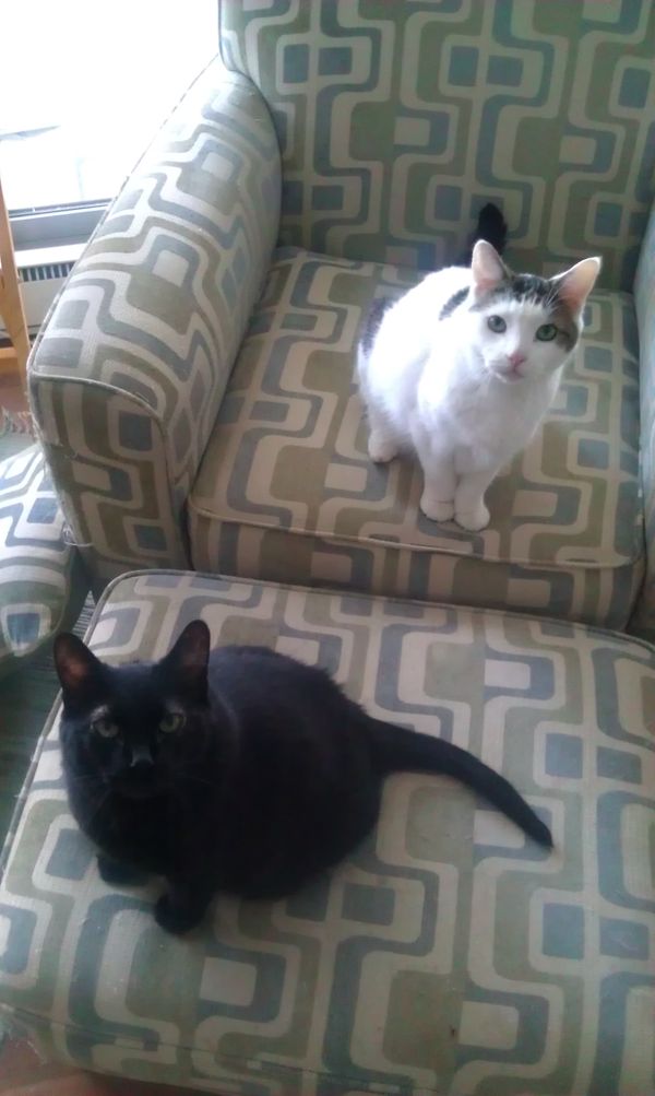 Goodbye, Little Girl