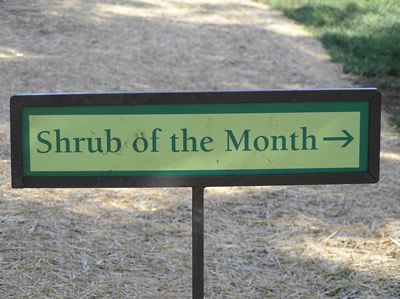 Sexual Perversity in (Downtown) Chicago