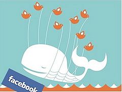 Four Reasons Why Bloggers on Twitter Shouldn't Pimp Facebook