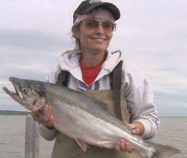 Sarah Palin's (Grand-)Baby Ate My Editorial Calendar