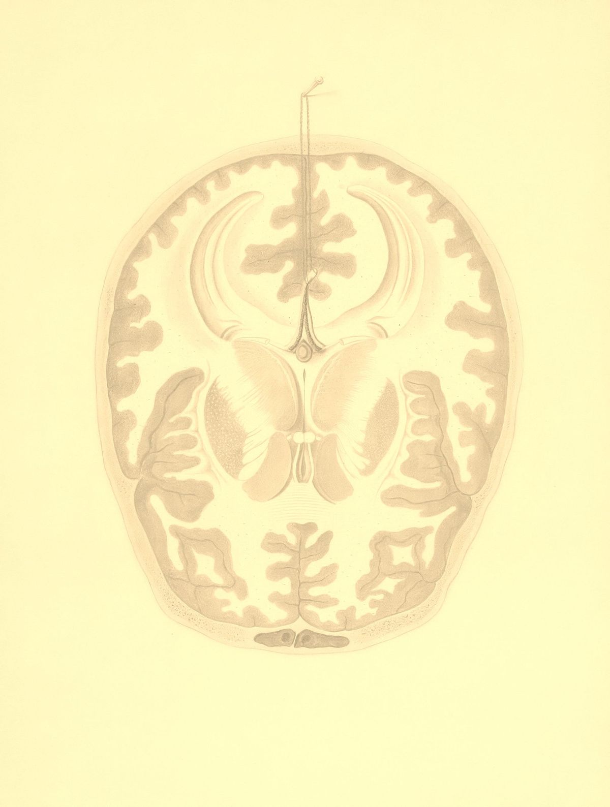 Demand for sincerity in an AI generated world